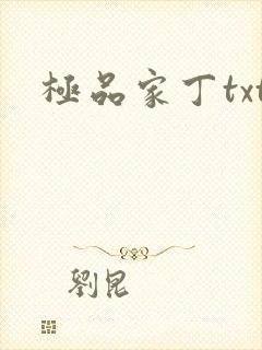 极品家丁txt封面