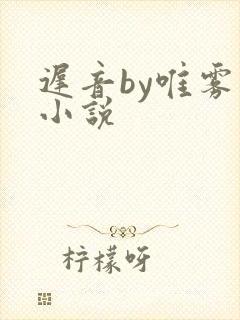 迟音by唯雾的小说