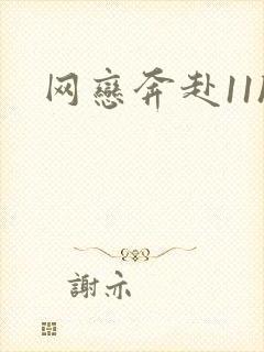 网恋奔赴11h封面