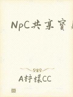 NpC共享宝贝封面