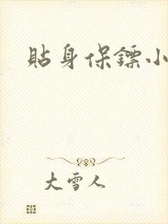 贴身保镖小说