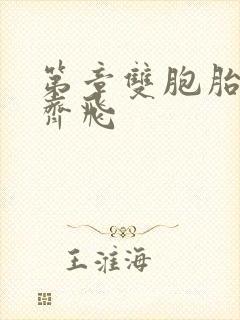 第章双胞胎姐妹齐飞
