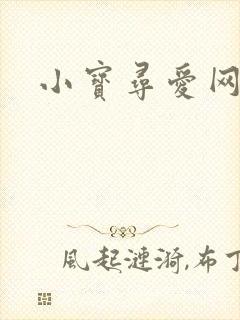 小宝寻爱网封面