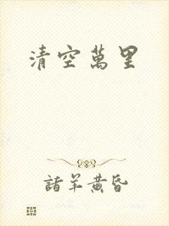 清空万里