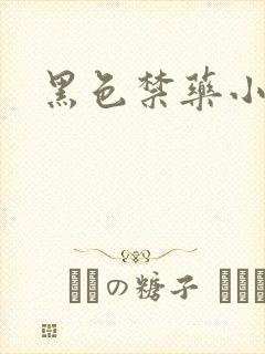 黑色禁药小说