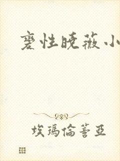 变性晓薇小说封面