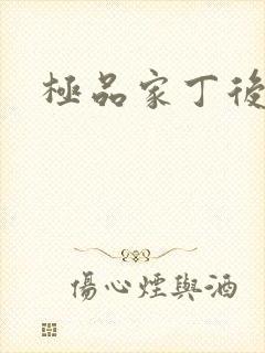 极品家丁后传