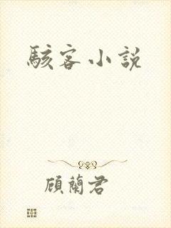 骇客小说