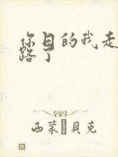 你日的我走不了路了封面