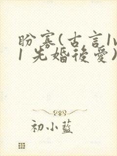 盼寡(古言1v1 先婚后爱)