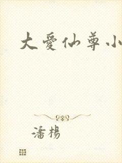 大爱仙尊小说封面