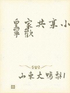 皇家共享小公主宁欢
