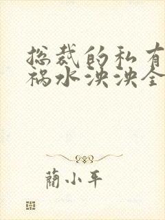 总裁的私有宝贝祸水泱泱全文阅读封面