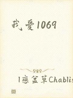 我爱1069封面