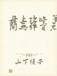 母上攻略 笔趣阁无弹窗免费封面