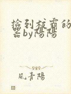 捡到校霸的遥控器by阳阳