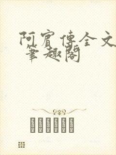 阿宾传全文阅读 笔趣阁