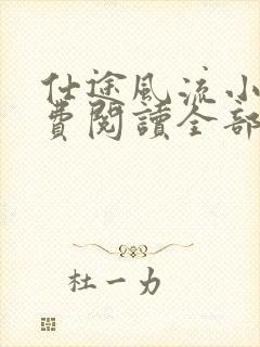 仕途风流小说免费阅读全部章节封面