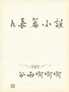 h长篇小说