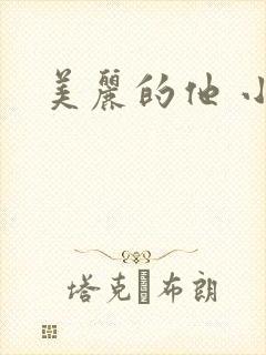 美丽的他 小说
