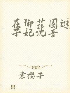 在御花园进入太子妃沈音封面