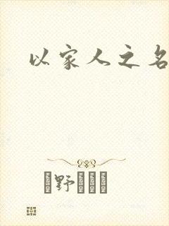 以家人之名小说