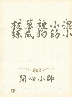 校草被小混混训练成狗的小说封面