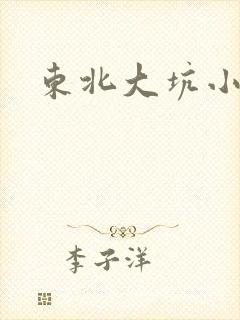 东北大坑小说