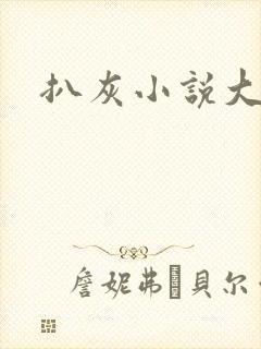 扒灰小说大全封面