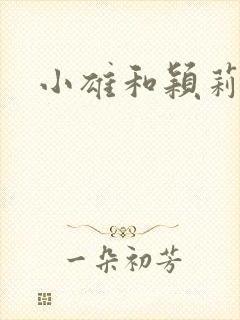 小雄和颖莉封面