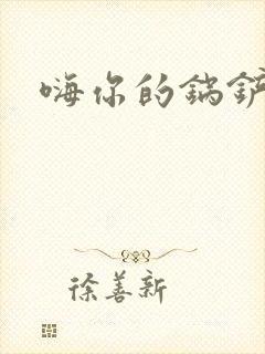 嗨你的锅铲