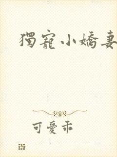 独宠小娇妻封面