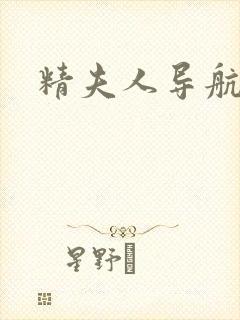 精夫人导航封面