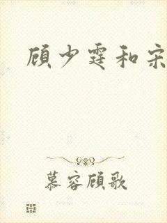 顾少霆和宋斯曼
