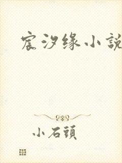 宸汐缘小说封面