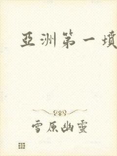 亚洲第一坟