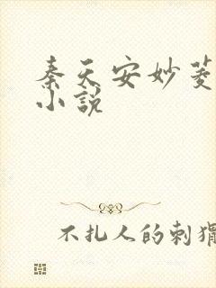 秦天安妙菱修仙小说封面