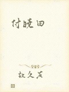 付晓田封面