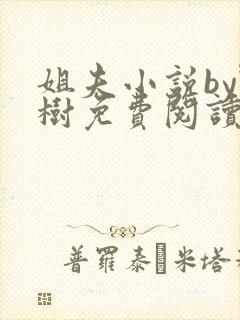 姐夫小说by野树免费阅读全文封面