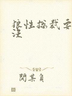 狼性总裁要够了没