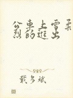 公车上雪柔被猛烈的进出封面