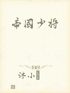 帝国少将封面