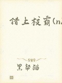 错上校霸(n)
