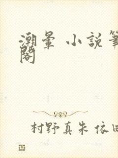 潮晕 小说笔趣阁