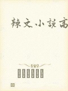 辣文小说高h