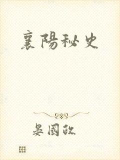 襄阳秘史