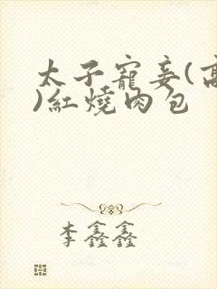 太子宠妾(高肉)红烧肉包
