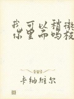 我可以稍微放进你里面吗校园版