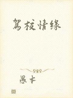驾校情缘封面