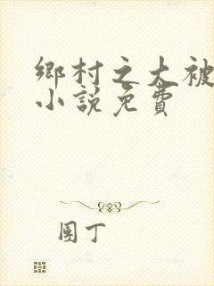 乡村之大被同眠小说免费